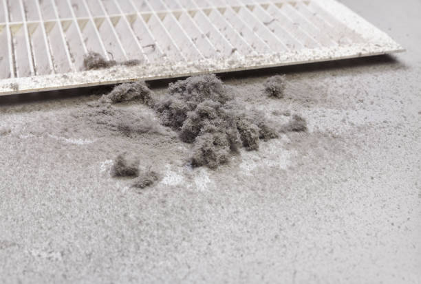Best Professional Duct Cleaning Services  in Fowler, CO